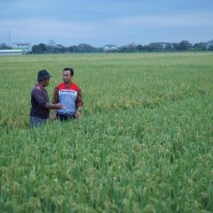 Geliat Perkasa Bumiku Wujudkan Swasembada Pangan