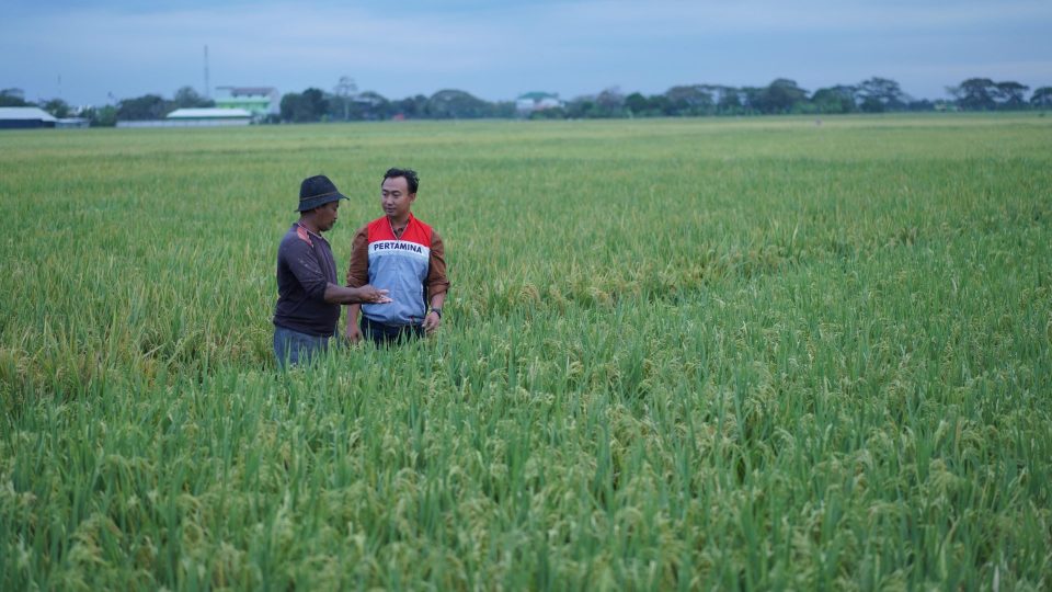 Geliat Perkasa Bumiku Wujudkan Swasembada Pangan