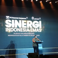 Pemerintah Minta Freeport Segera Genjot Hilirisasi