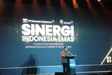 Pemerintah Minta Freeport Segera Genjot Hilirisasi