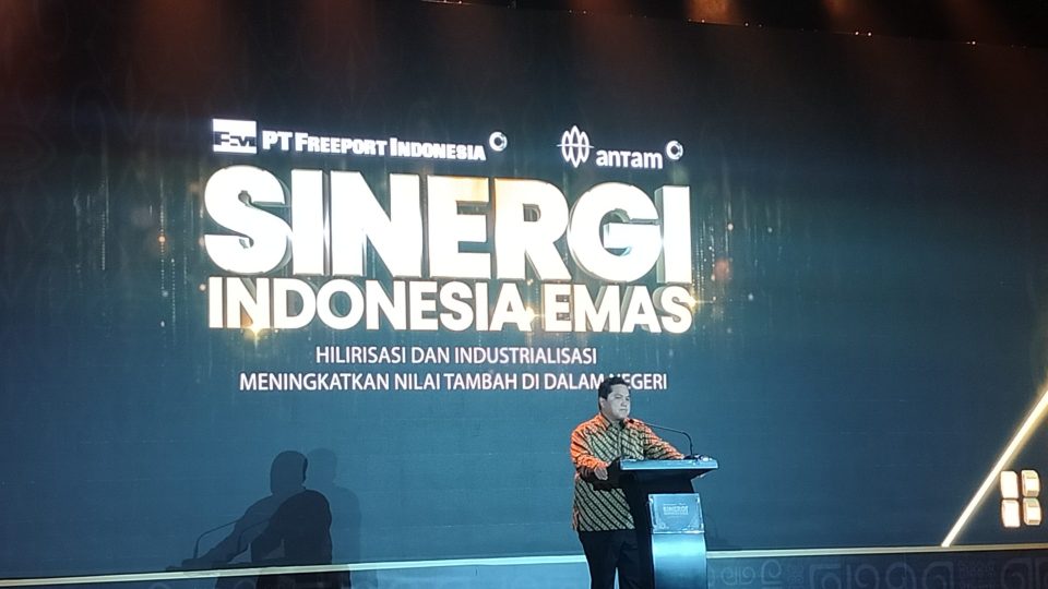 Pemerintah Minta Freeport Segera Genjot Hilirisasi