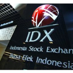 IPO Perusahaan Energi Terbarukan Menjadi Opsi Pendanaan Menarik bagi Investor