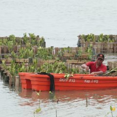 Perkuat Komitmen ESG, Buku Sustainability Program ABM Investama Tegaskan Pentingnya Pendekatan Holistik