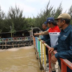 Implementasi ESG Dalam Kegiatan Operasi, PHE Raih Skor Rating BBB