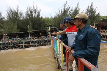 Implementasi ESG Dalam Kegiatan Operasi, PHE Raih Skor Rating BBB