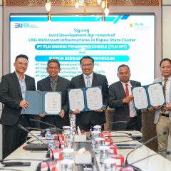 PLN dan Konsorium Bentukan Pertamina Garap Proyek Gasifikasi di Papua Utara