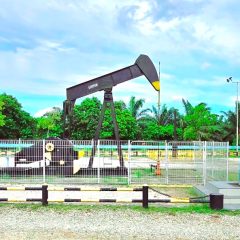 Setelah 80 Tahun Berproduksi, Minas Bakal Jadi Lapangan Chemical EOR Pertama di Indonesia