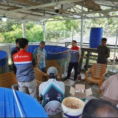 Manfaatkan Teknologi Bioflok, Cara Kilang Pertamina Dukung Astacita Swasembada Pangan