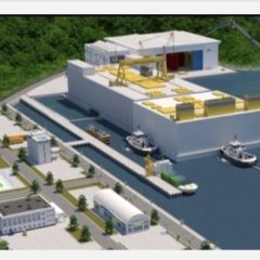 Site Evaluation on Kelasa Island Completed, Thorcon Power Nuclear Power Plant Ready to Operate in 2032