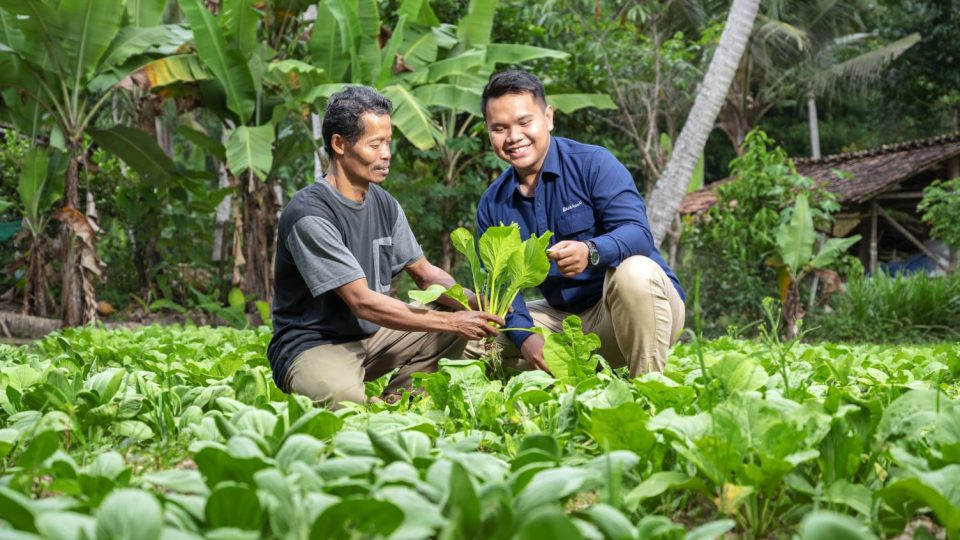 MIND ID Tingkatkan Kapasitas dan Keterampilan Masyarakat Daerah
