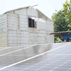 PLTS PNRE Membawa Berkah  Bagi Petani Jamur Cilamaya