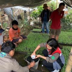 Supporting Energy and Food Security, PGE Develops Innovation of Katrili Booster Fertilizer