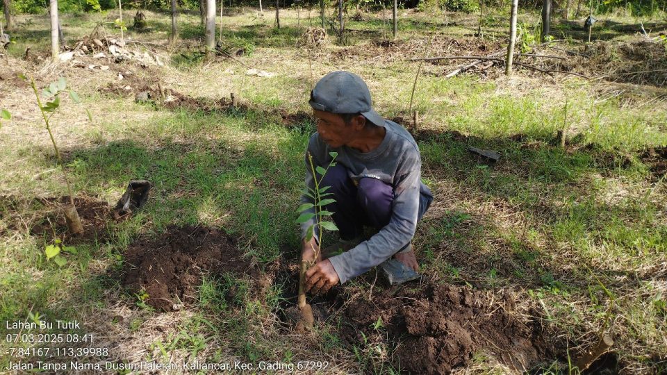 Dukung Hutan Energi, Paiton Energy Tanam Puluhan Ribu Pohon Serap Emisi Karbon