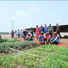 Ada Ribuan Warga Terima Manfaat Program TJSL KPI