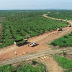 Uji Coba Hauling Road Rampung, RMK Energy Optimistis Capai Target Tahun Ini