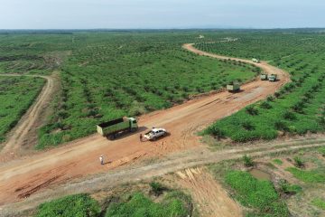 Uji Coba Hauling Road Rampung, RMK Energy Optimistis Capai Target Tahun Ini