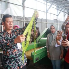 Tiga Negara ASEAN Studi ke Prabumulih, Pelajari Inovasi Serat Nanas Binaan CSR Pertagas