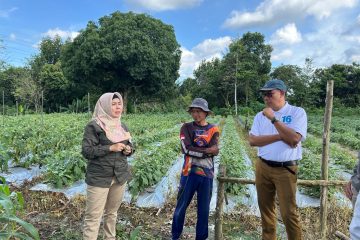 Tingkatkan Ekonomi Petani, Pertamina Gas Mendapat Apresiasi dari Pemkab Kutai Timur