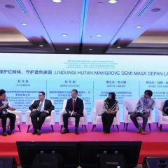 China Energy Terus Perluas Hutan Mangrove di Area PLTU Jawa 7