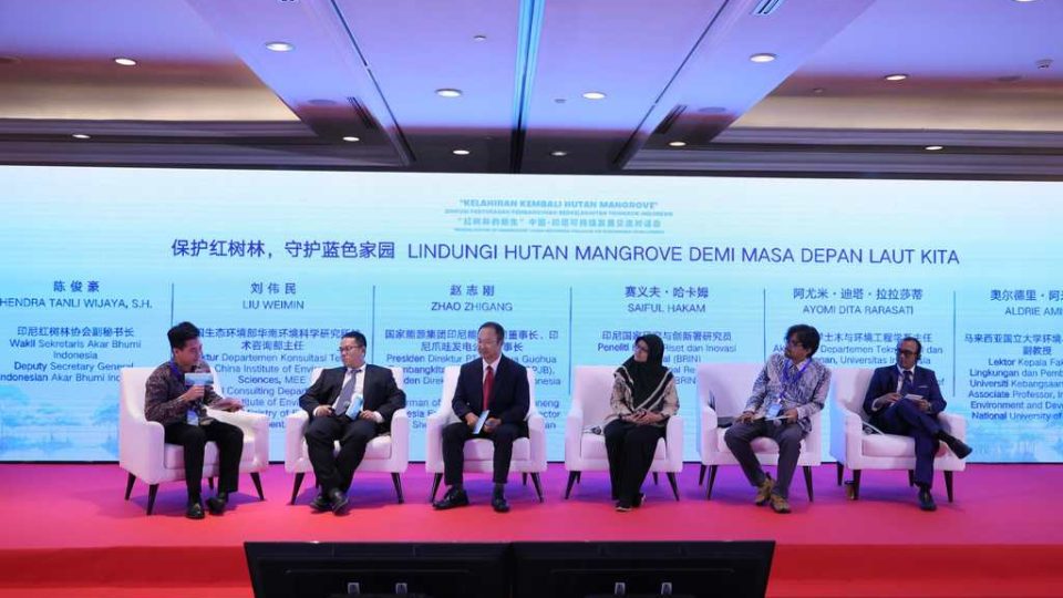 China Energy Terus Perluas Hutan Mangrove di Area PLTU Jawa 7