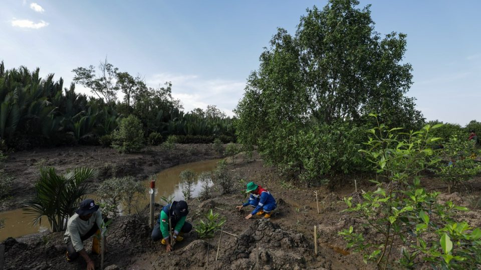 Kilang Pertamina Tanam Lebih dari 135 Ribu Pohon Sepanjang Tahun 2024