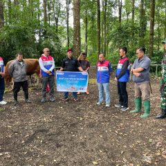 Hadirkan Semangat Berbagi, Pertamina NRE Group Bagikan   Hewan Qurban Untuk Masyarakat