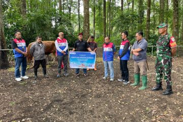 Hadirkan Semangat Berbagi, Pertamina NRE Group Bagikan   Hewan Qurban Untuk Masyarakat