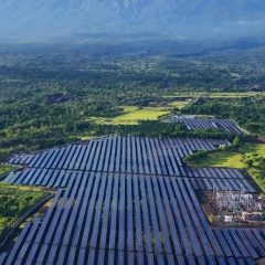 Medco Mulai Operasikan PLTS 25MWp di Bali Timur