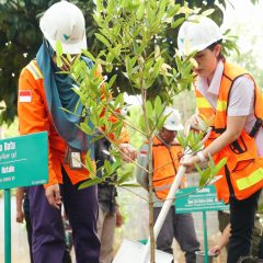 Reforestasi Capai 3 Kali Lipat Area Tambang, Vale Indonesia Komitmen Jaga Lingkungan