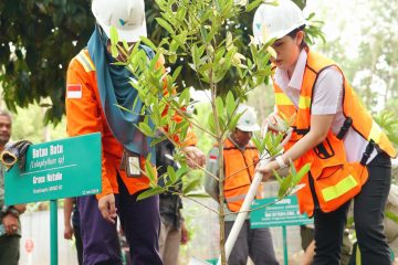 Reforestasi Capai 3 Kali Lipat Area Tambang, Vale Indonesia Komitmen Jaga Lingkungan