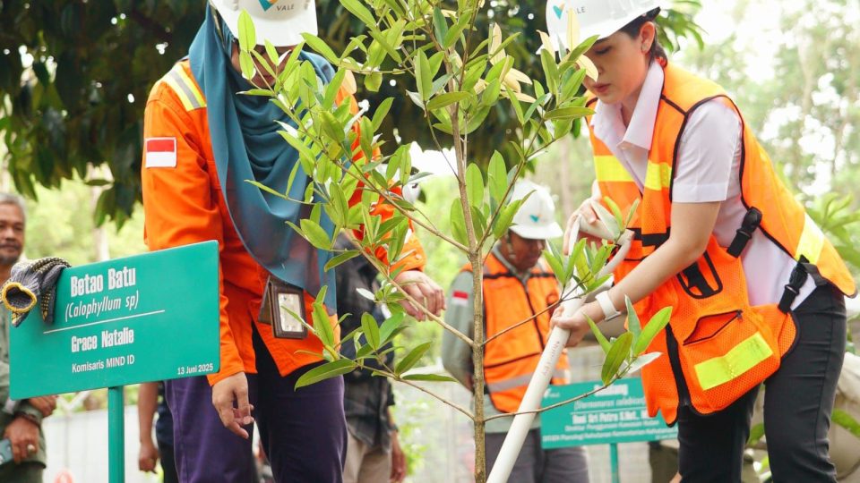 Reforestasi Capai 3 Kali Lipat Area Tambang, Vale Indonesia Komitmen Jaga Lingkungan