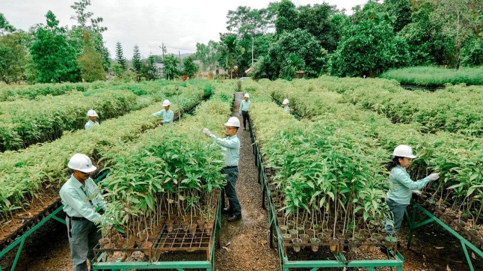 MIND ID Targetkan Penurunan Emisi 21,4% pada 2030