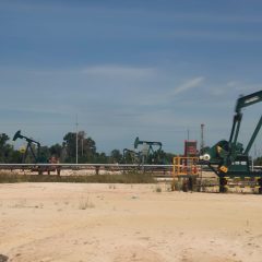 Sepanjang 2024 Laba Bersih Pertamina Tembus Rp49,54 Triliun