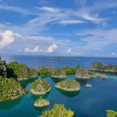 PT Gag Nikel Selamat, Pemerintah Cabut Izin Tambang Empat Perusahaan di Raja Ampat