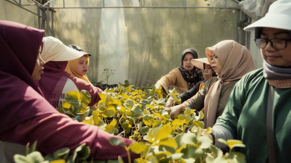 Program Gemah Karsa PGE Area Kamojang Raih Asia Responsible Enterprise Awards 2025