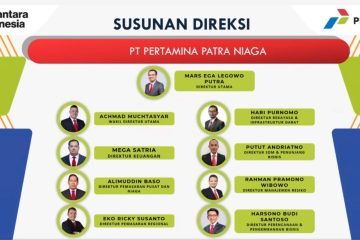 Perombakan Direksi Subholding Pertamina, Mars Ega Jadi Direktur Utama, Mantan Dirjen Migas Jadi Wadirut PPN