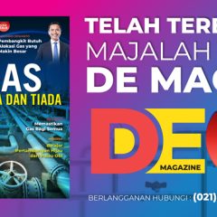 DE Magazine Vol.11