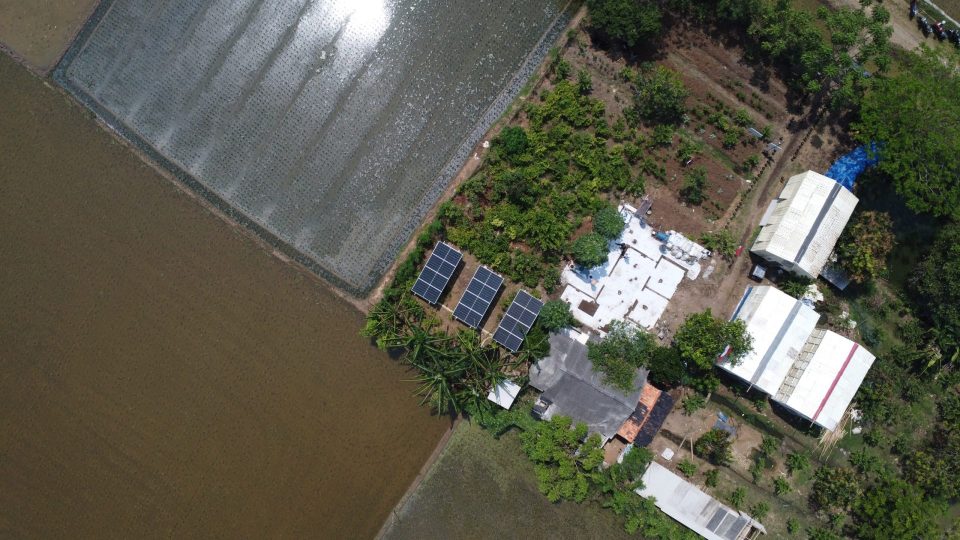 Manfaatkan PLTS, Pertamina NRE Dongkrak Pertanian di Cilamaya