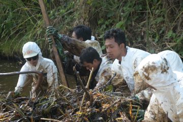 Bahu-Membahu Pulihkan Towuti
