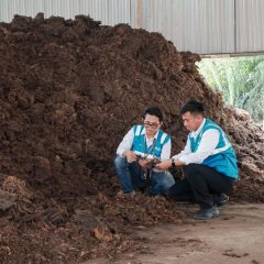 PLN EPI Kembangkan Bioenergi Jadi Peluang Usaha Domestik dan Internasional