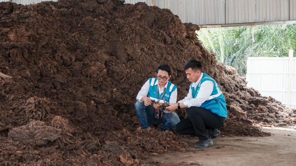 PLN EPI Kembangkan Bioenergi Jadi Peluang Usaha Domestik dan Internasional
