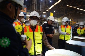 Perbaikan Tata Kelola Timah Harus Dilakukan Demi Optimalisasi REE