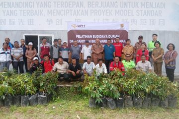 Perkuat Ekonomi Lokal, Dairi Prima Mineral Berikan Pelatihan Budidaya Durian dan Bantuan Bibit untuk Petani