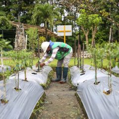 Genjot Ekonomi Sirkuler, MIND ID Bersama Masyarakat Ubah Sampah Menjadi Produk Bernilai