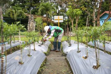 Genjot Ekonomi Sirkuler, MIND ID Bersama Masyarakat Ubah Sampah Menjadi Produk Bernilai