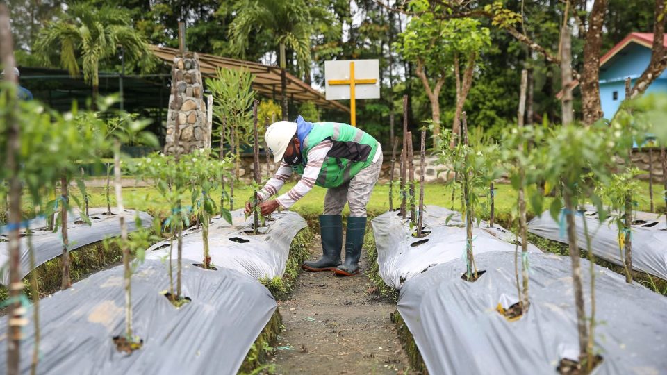 Genjot Ekonomi Sirkuler, MIND ID Bersama Masyarakat Ubah Sampah Menjadi Produk Bernilai