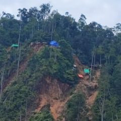 Lebih Dari 320 Hektare Lahan Bekas Tambang Ilegal Kembali ke Negara