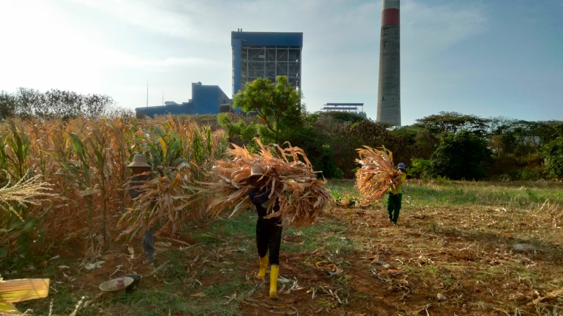 Energi Listrik dari Limbah Desa: Mini Gasifier Portabel Siap Masuk Wilayah Terpencil