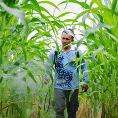 Komitmen Bisnis Berkelanjutan, CK Kembangkan Inovasi Pertanian Ramah Lingkungan