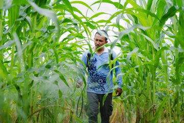 Komitmen Bisnis Berkelanjutan, CK Kembangkan Inovasi Pertanian Ramah Lingkungan